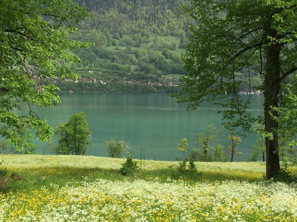 Sam & Cindy Muehlemann Leilighet Interlaken Eksteriør bilde