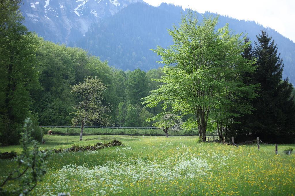 Sam & Cindy Muehlemann Leilighet Interlaken Eksteriør bilde